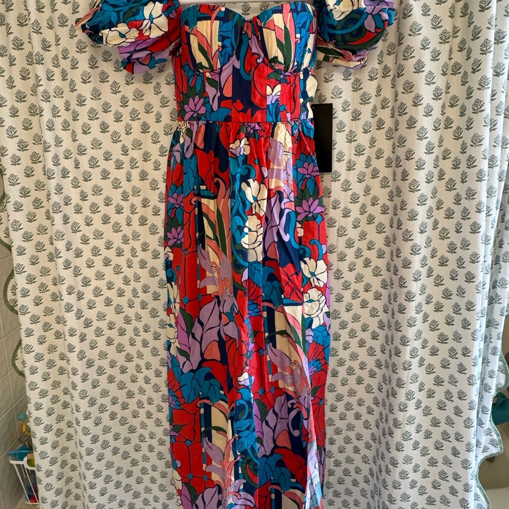 Tuckernuck climbing cosmos maxi dress - Picture 5 of 8